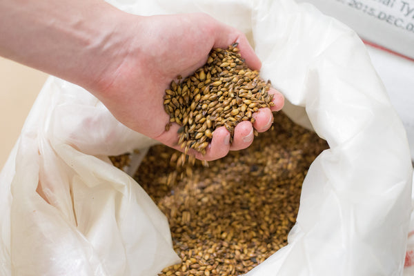 What Is Malt in Beer? The Secret to the 